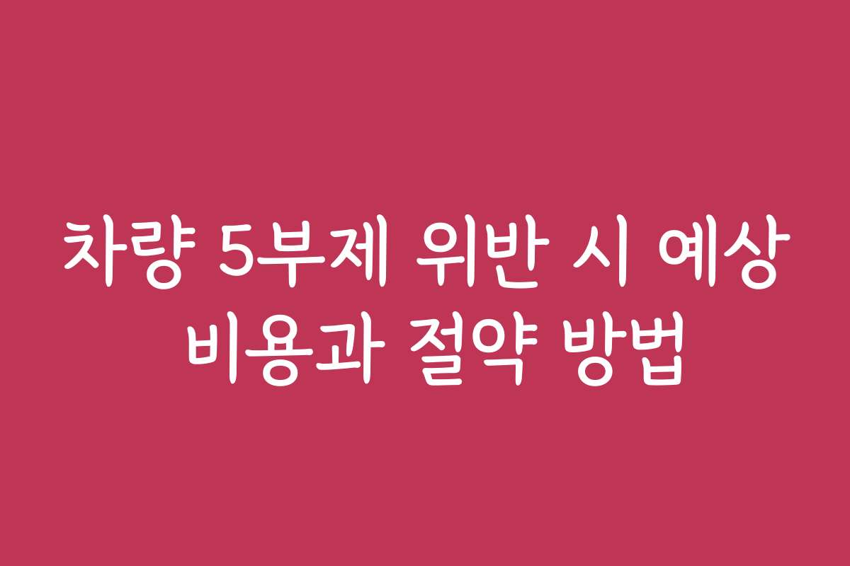차량 5부제 위반 시 예상 비용과 절약 방법