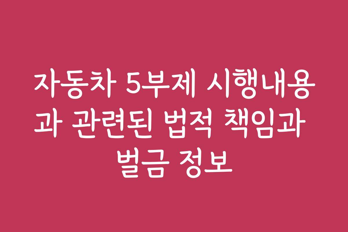 자동차 5부제 시행내용과 관련된 법적 책임과 벌금 정보