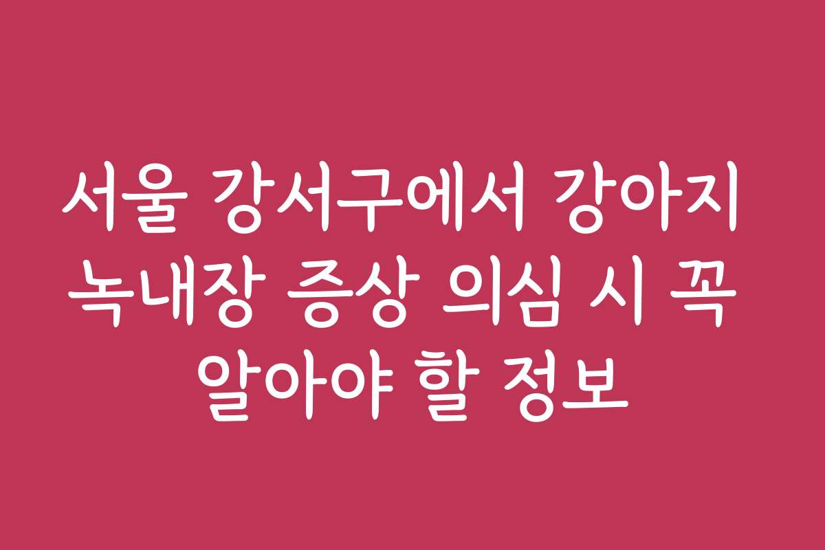 서울 강서구에서 강아지 녹내장 증상 의심 시 꼭 알아야 할 정보