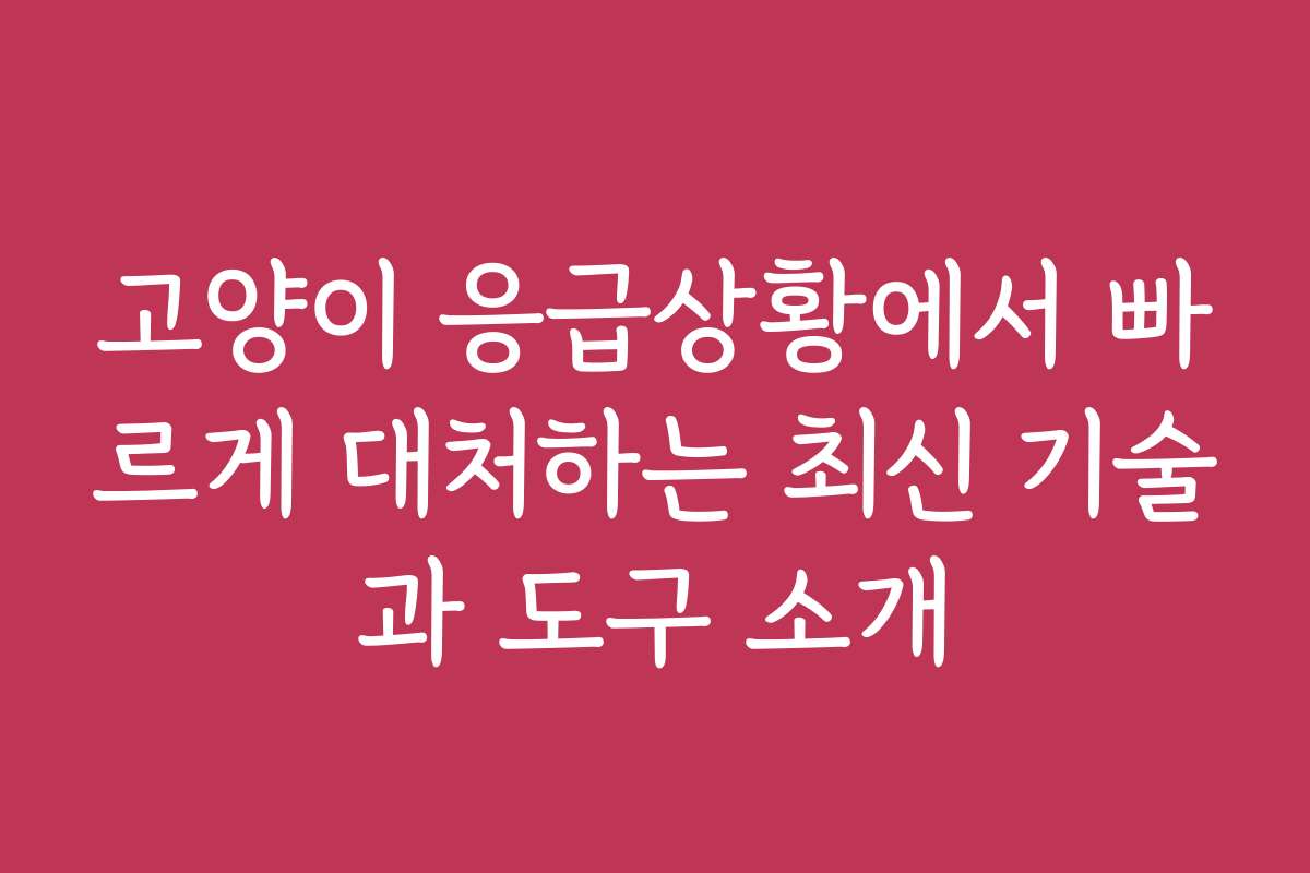 고양이 응급상황에서 빠르게 대처하는 최신 기술과 도구 소개