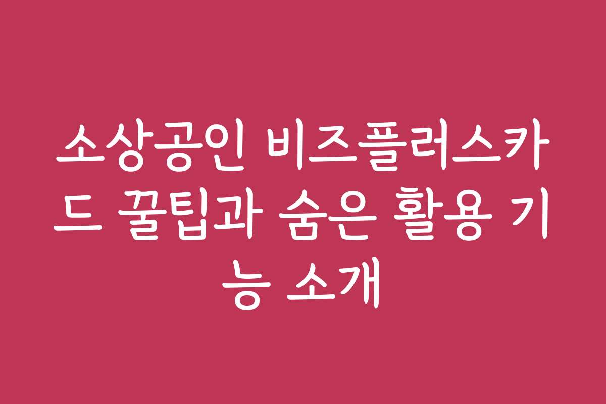 소상공인 비즈플러스카드 꿀팁과 숨은 활용 기능 소개