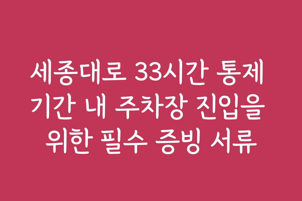 세종대로 33시간 통제 기간 내 주차장 진입을 위한 필수 증빙 서류