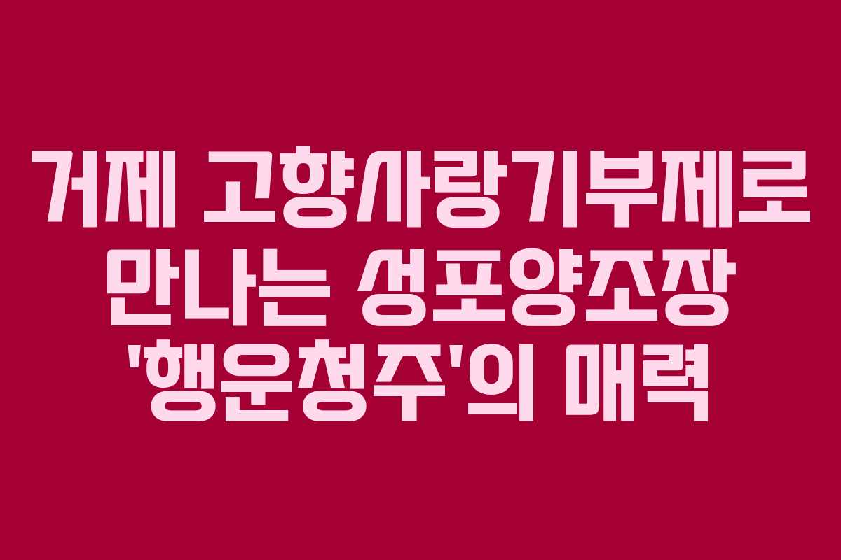 거제 고향사랑기부제로 만나는 성포양조장 ‘행운청주’의 매력