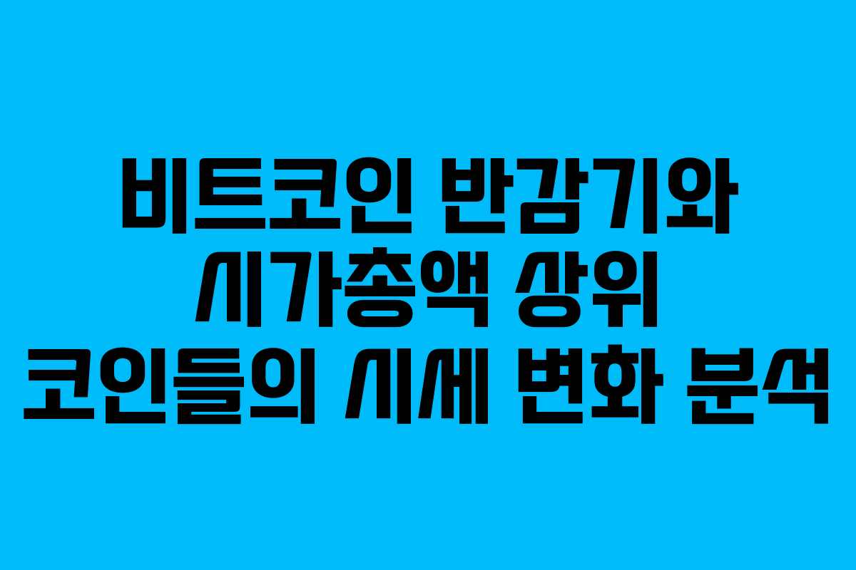비트코인 반감기와 시가총액 상위 코인들의 시세 변화 분석