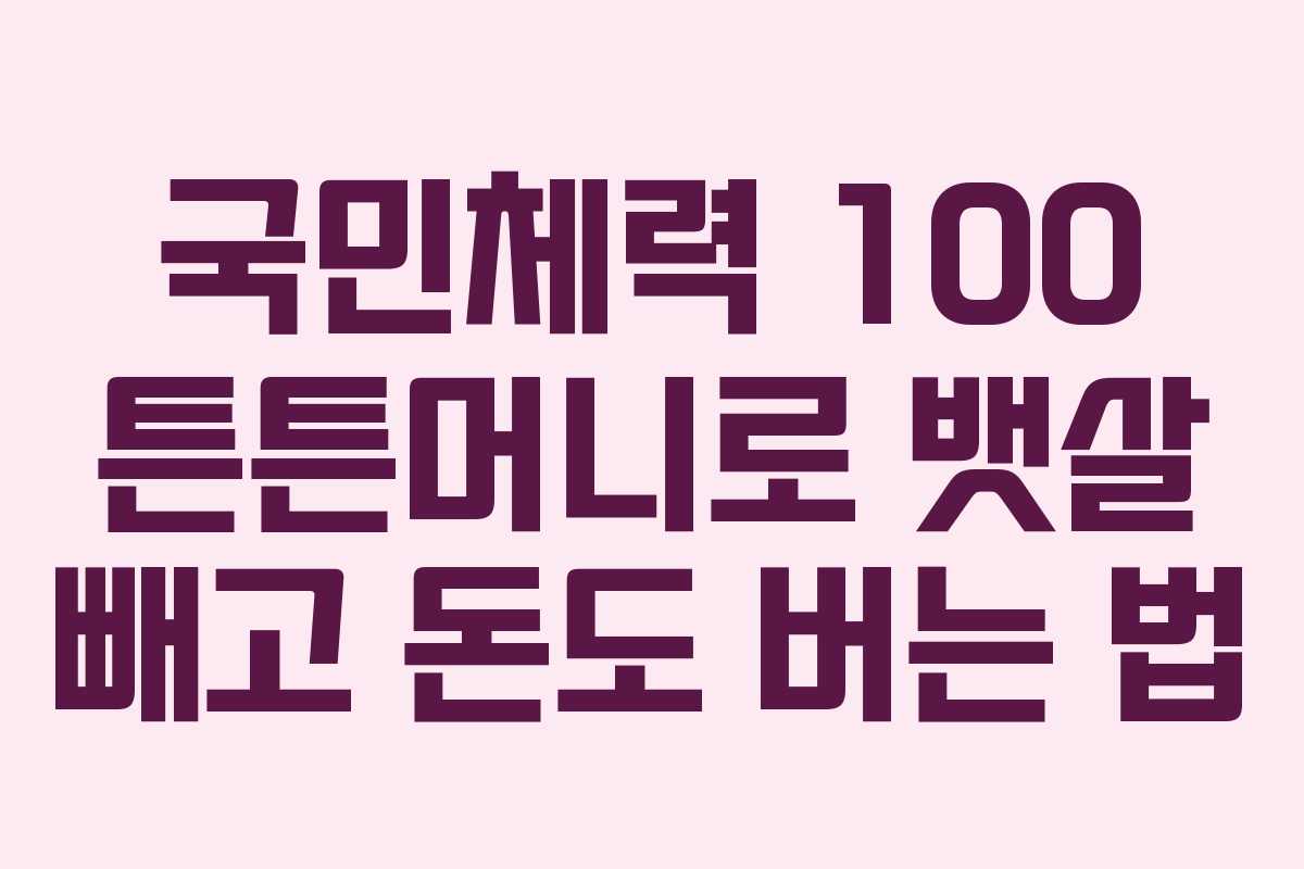 국민체력 100 튼튼머니로 뱃살 빼고 돈도 버는 법