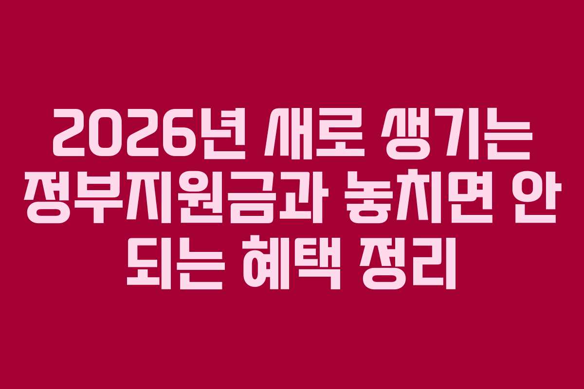 2026년 새로 생기는 정부지원금과 놓치면 안 되는 혜택 정리