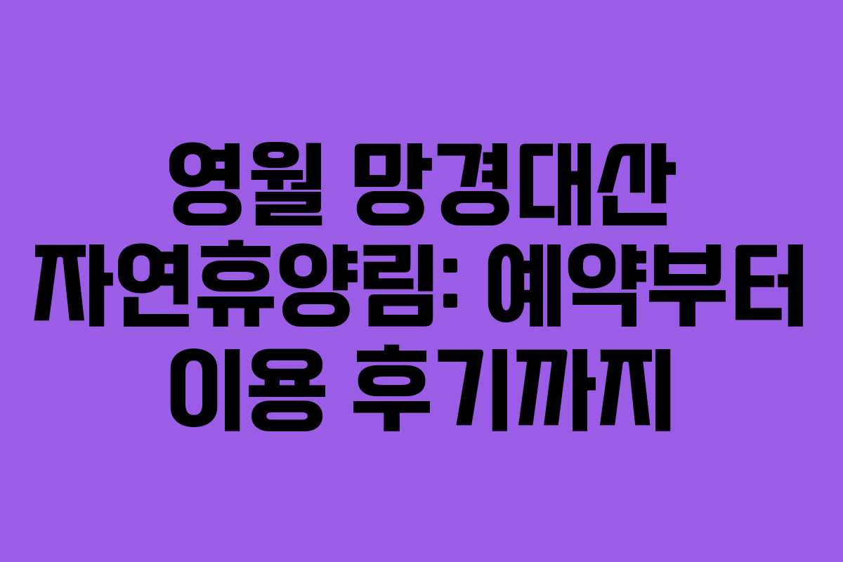 영월 망경대산 자연휴양림: 예약부터 이용 후기까지
