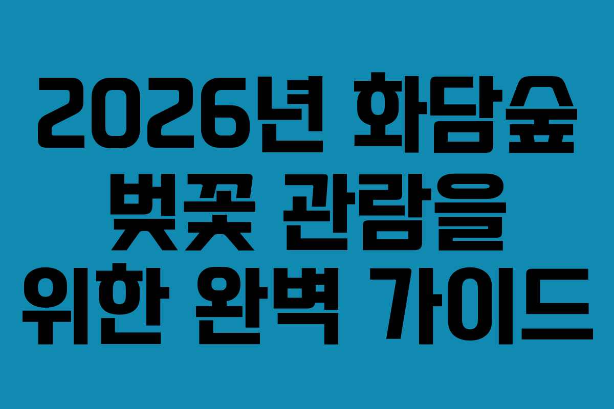 2026년 화담숲 벚꽃 관람을 위한 완벽 가이드