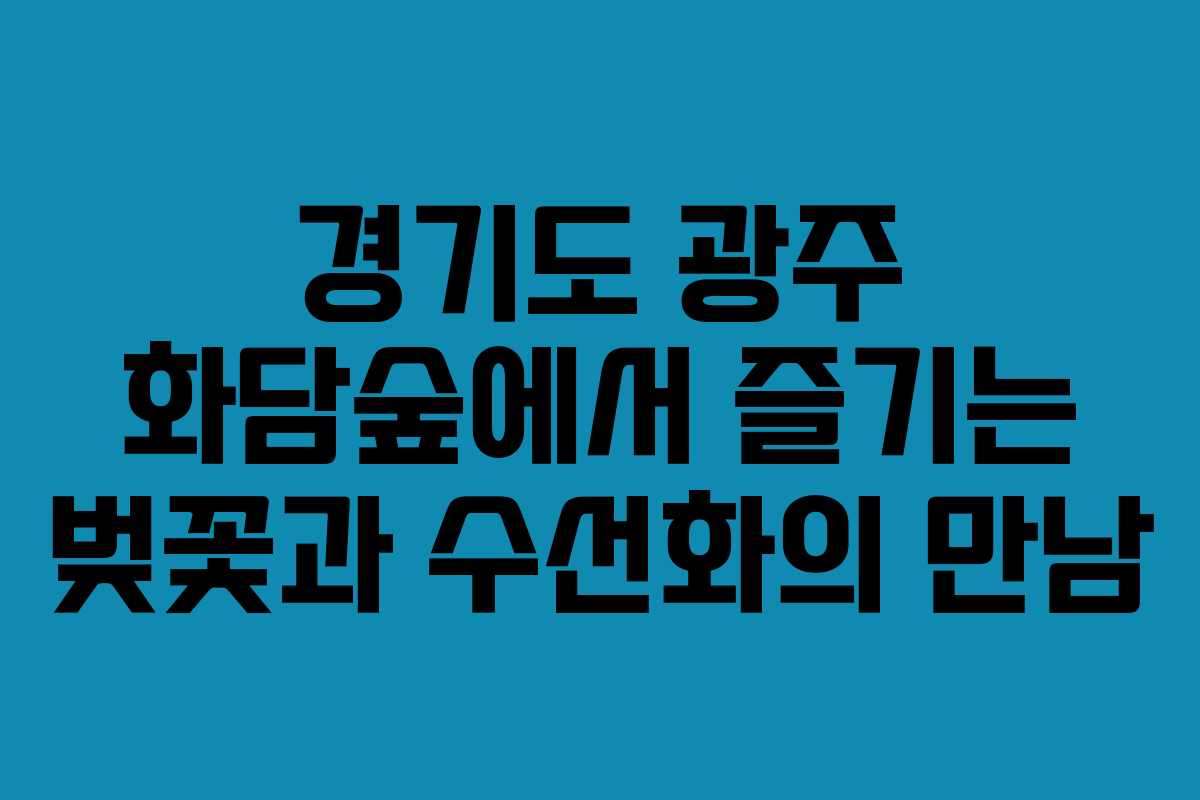 경기도 광주 화담숲에서 즐기는 벚꽃과 수선화의 만남