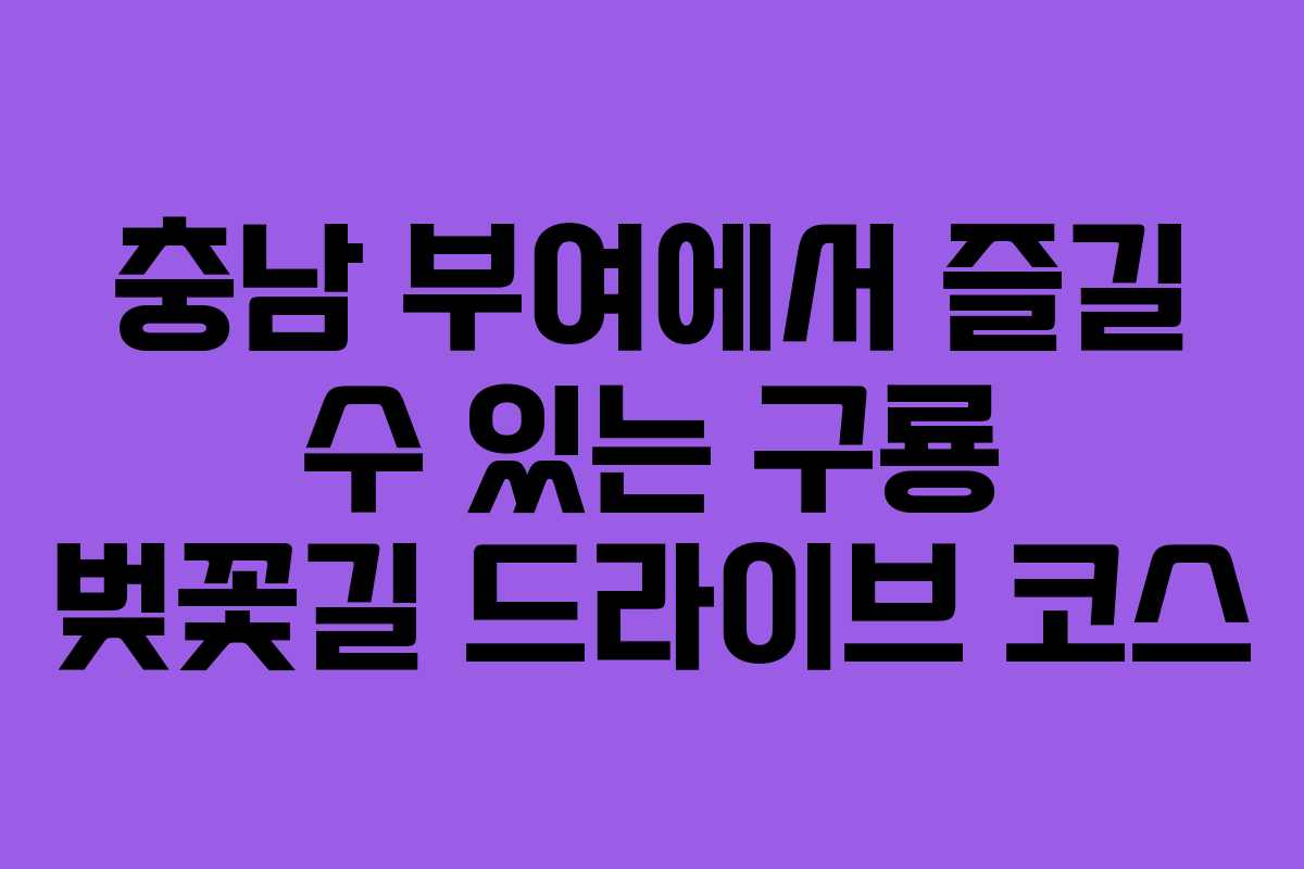 충남 부여에서 즐길 수 있는 구룡 벚꽃길 드라이브 코스