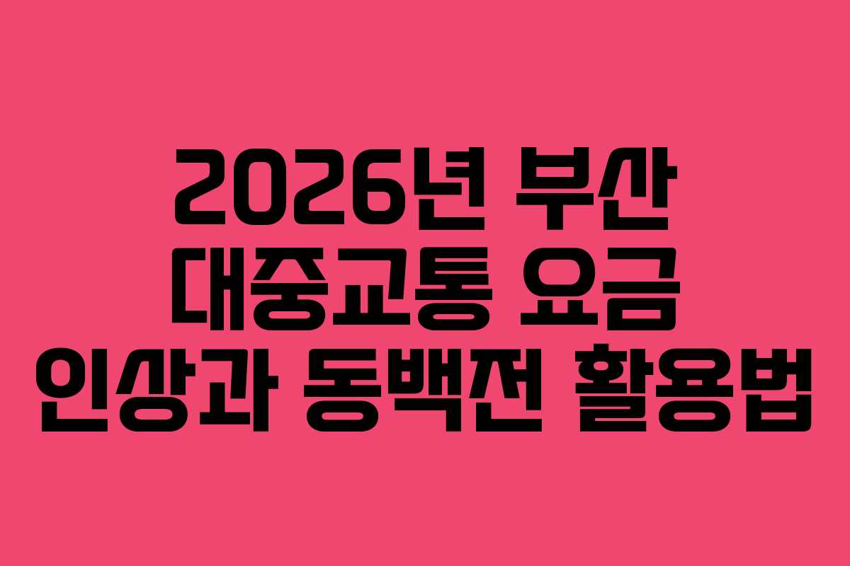 2026년 부산 대중교통 요금 인상과 동백전 활용법