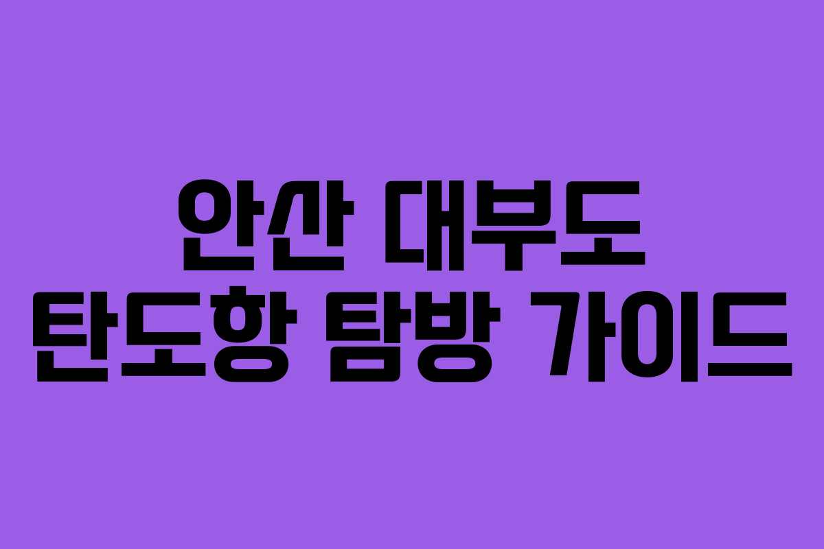 안산 대부도 탄도항 탐방 가이드