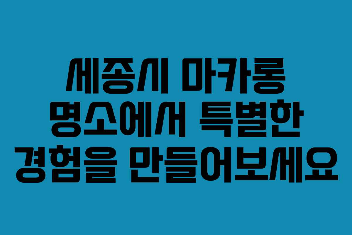 세종시 마카롱 명소에서 특별한 경험을 만들어보세요
