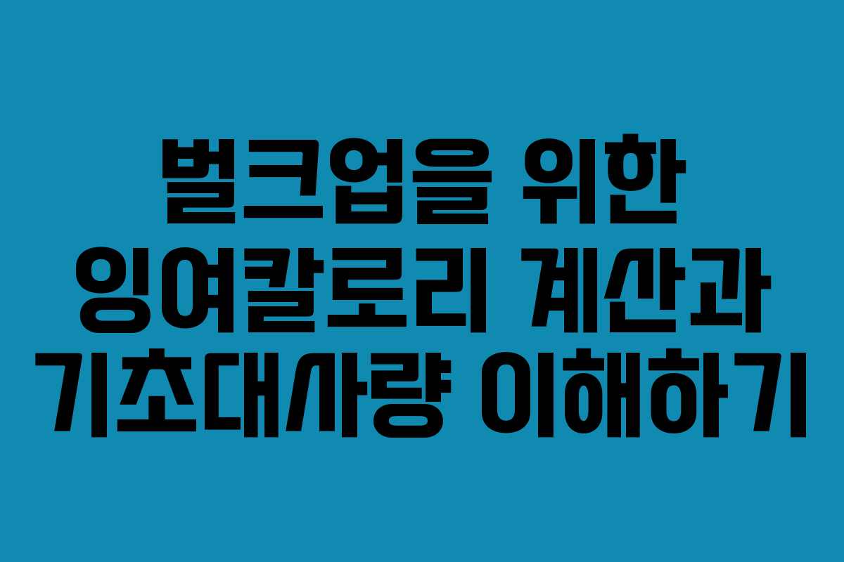 벌크업을 위한 잉여칼로리 계산과 기초대사량 이해하기