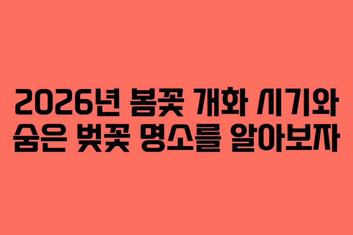 2026년 봄꽃 개화 시기와 숨은 벚꽃 명소를 알아보자