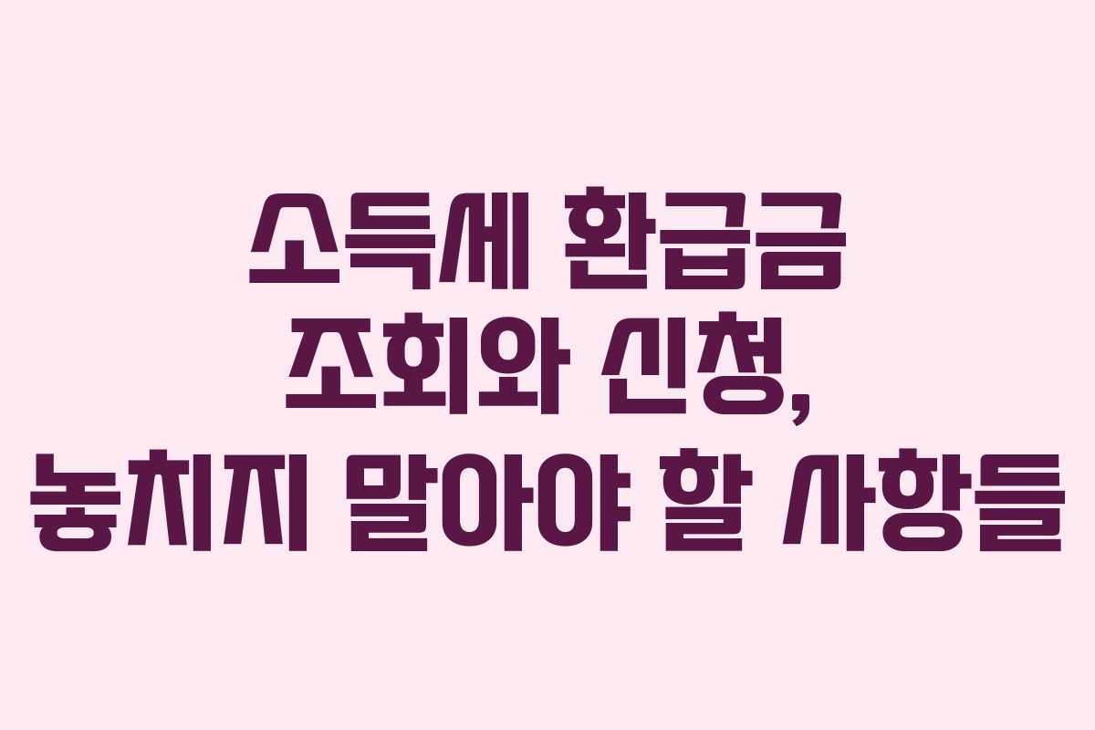 소득세 환급금 조회와 신청, 놓치지 말아야 할 사항들