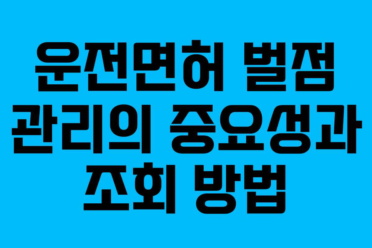 운전면허 벌점 관리의 중요성과 조회 방법
