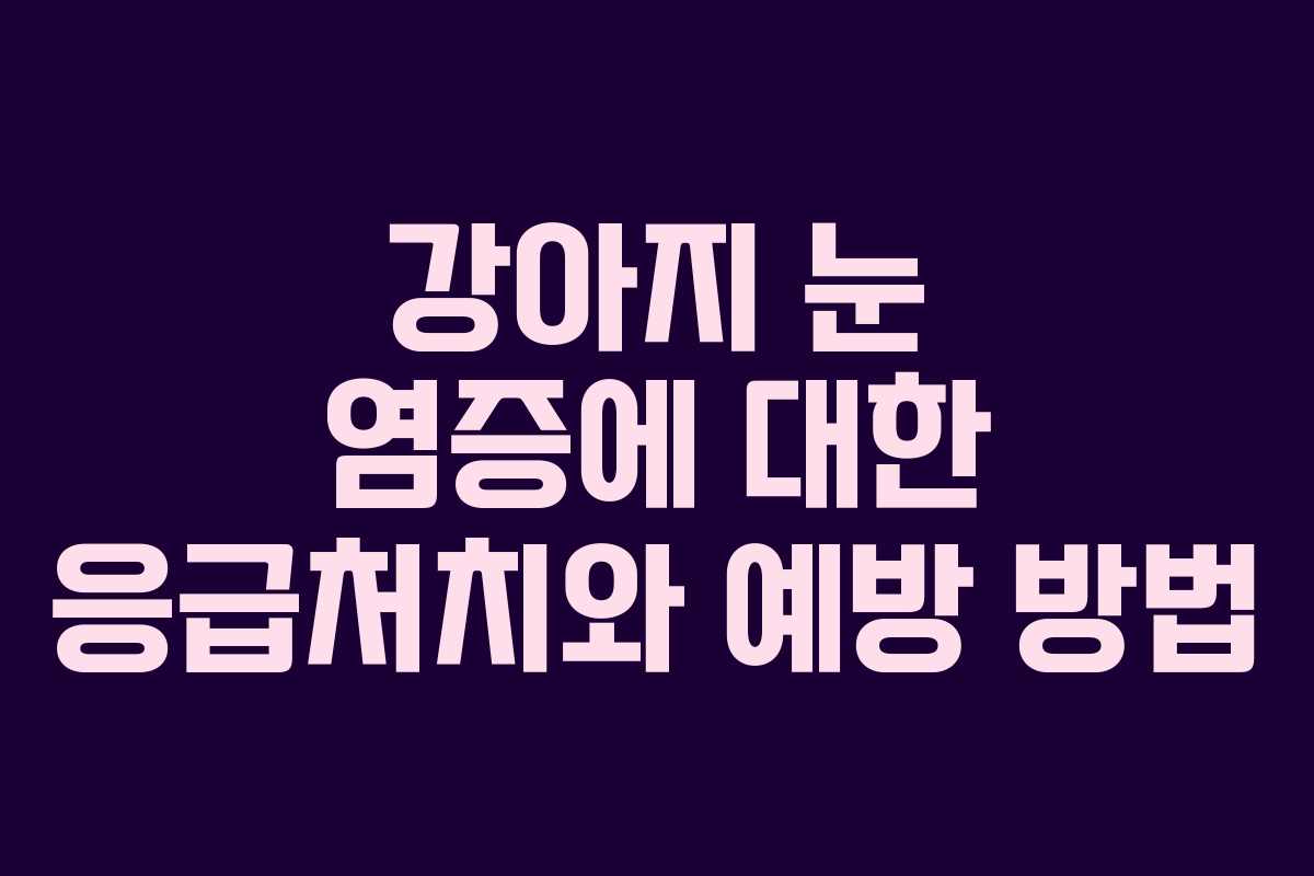 강아지 눈 염증에 대한 응급처치와 예방 방법