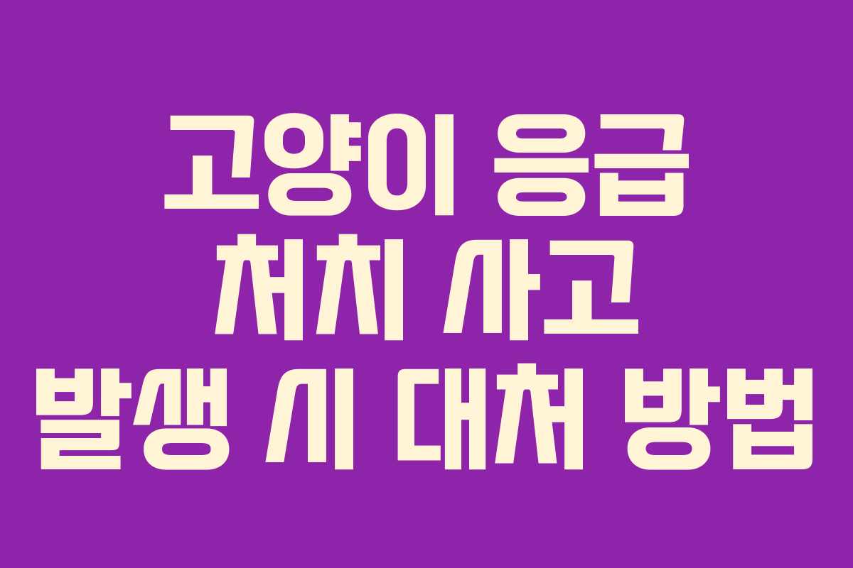 고양이 응급 처치 사고 발생 시 대처 방법