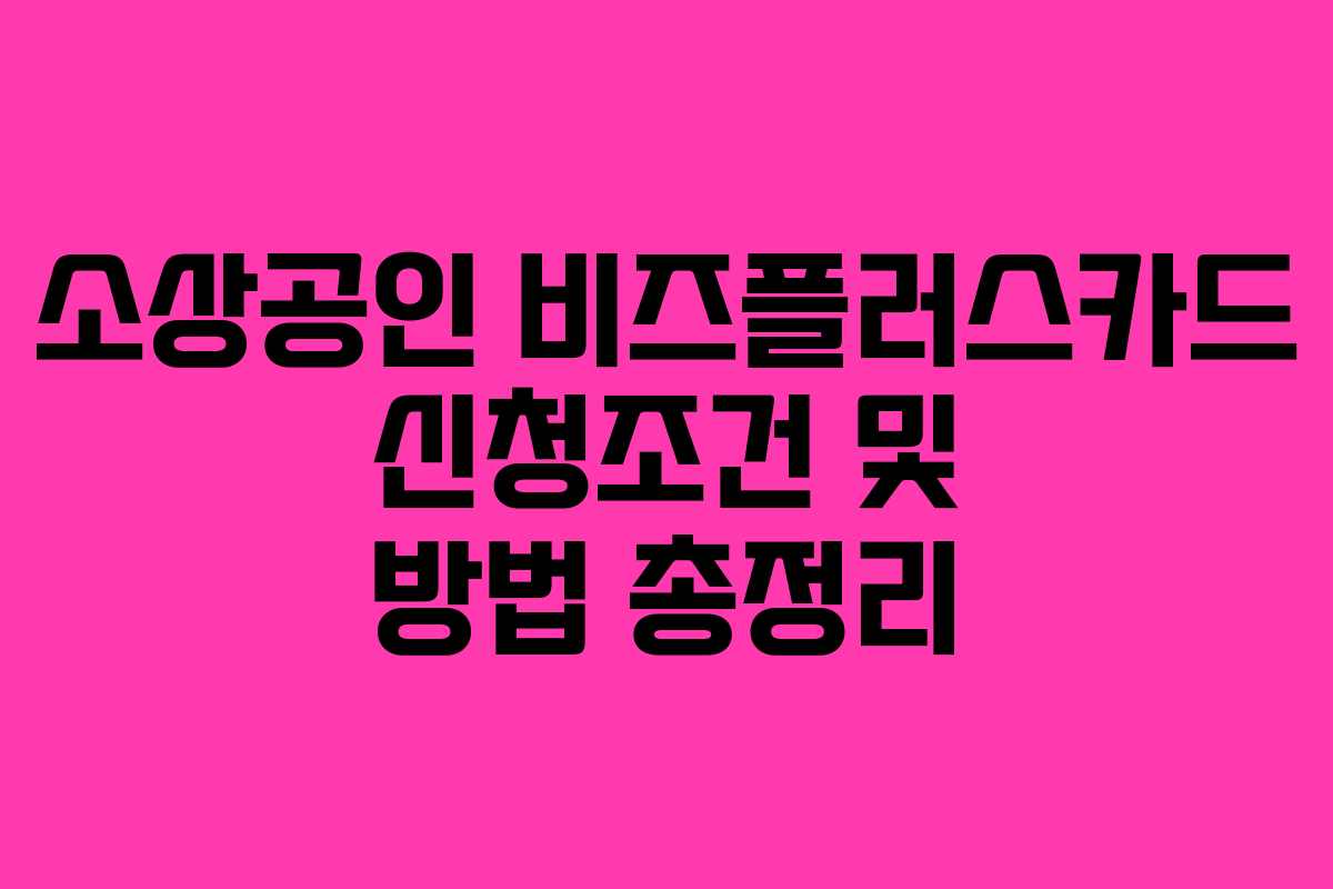 소상공인 비즈플러스카드 신청조건 및 방법 총정리