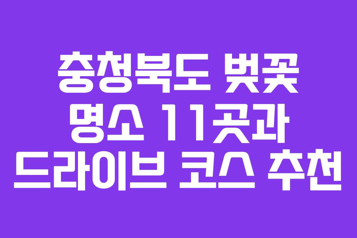 충청북도 벚꽃 명소 11곳과 드라이브 코스 추천