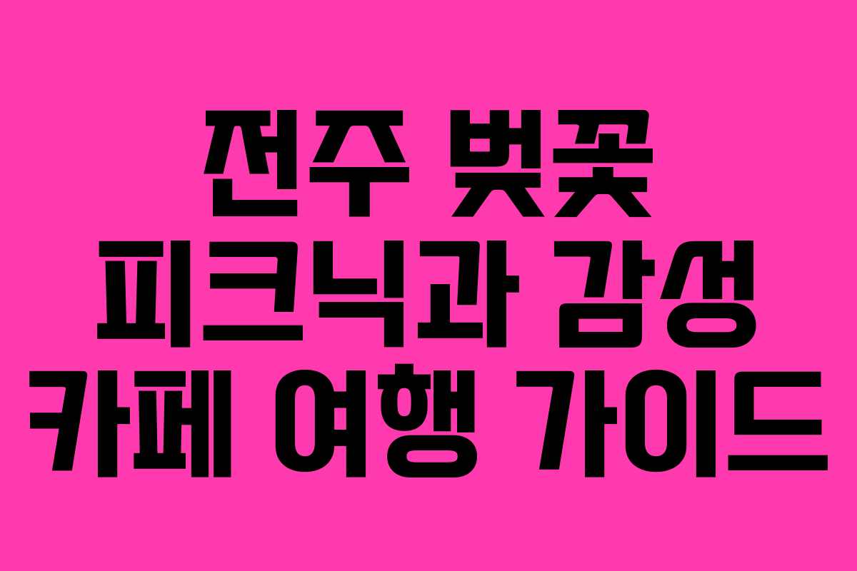 전주 벚꽃 피크닉과 감성 카페 여행 가이드