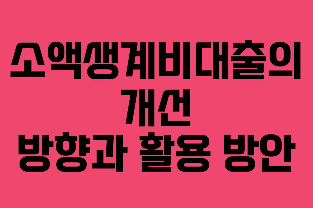 소액생계비대출의 개선 방향과 활용 방안