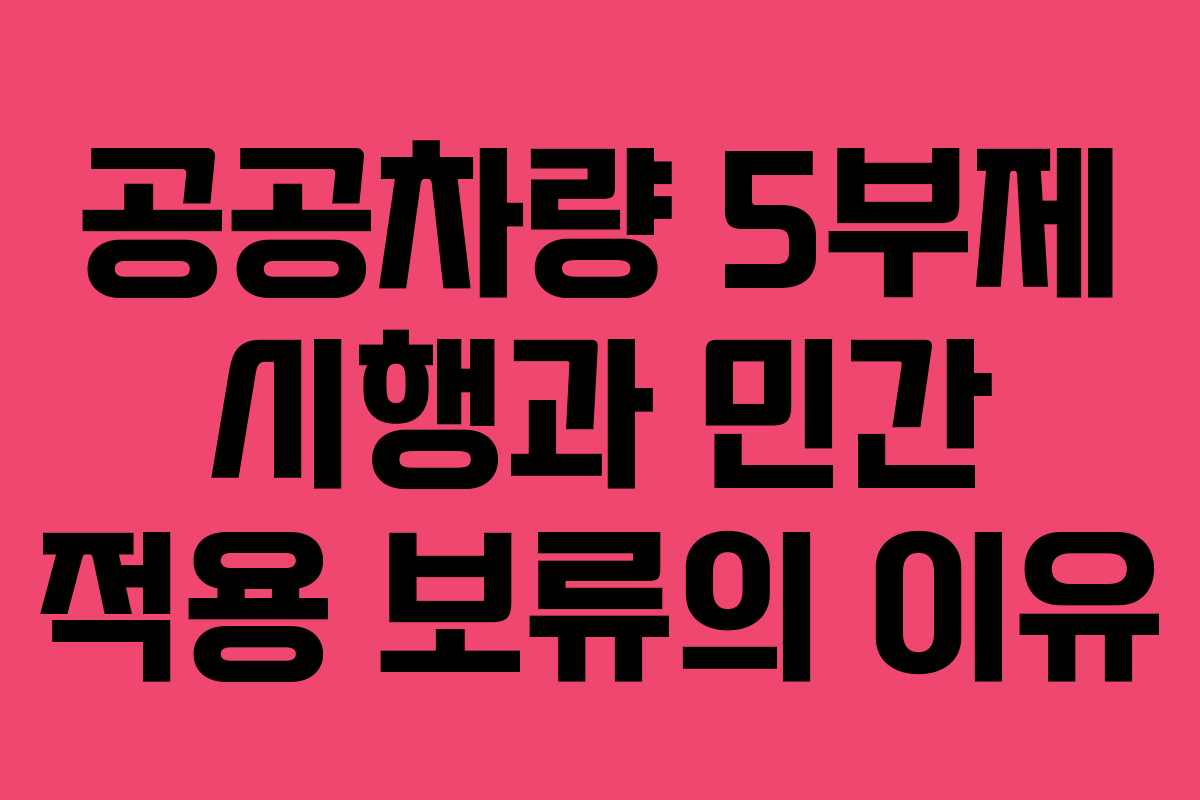 공공차량 5부제 시행과 민간 적용 보류의 이유