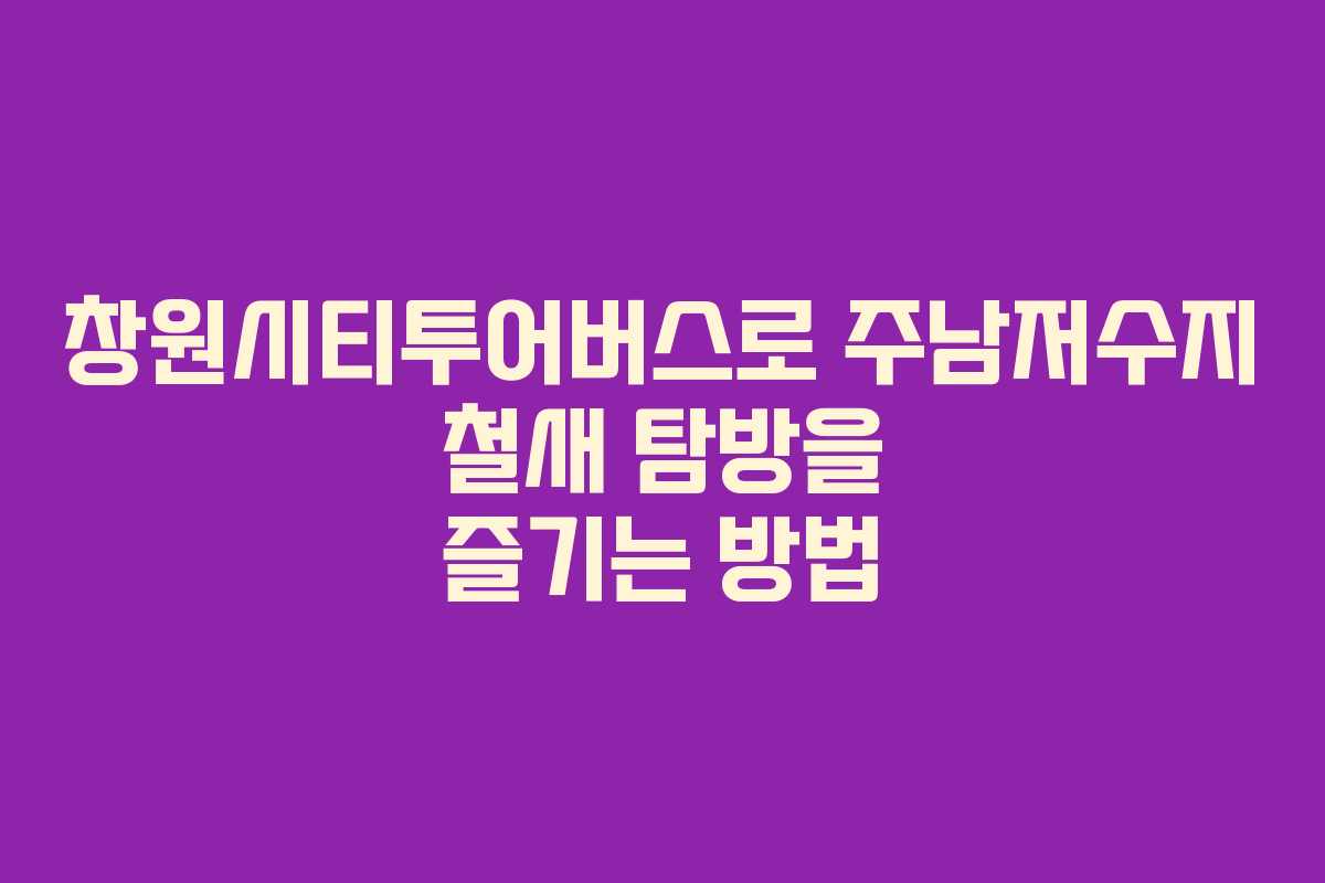 창원시티투어버스로 주남저수지 철새 탐방을 즐기는 방법