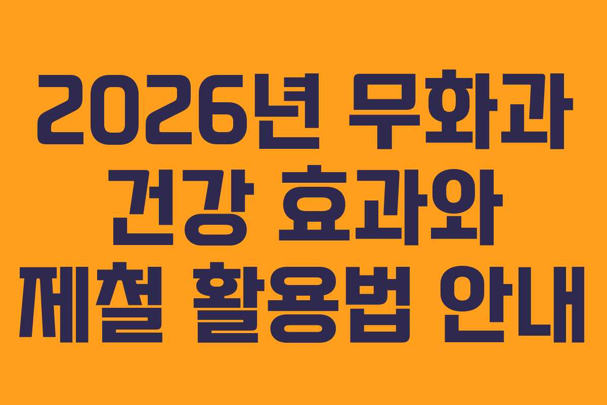 2026년 무화과 건강 효과와 제철 활용법 안내