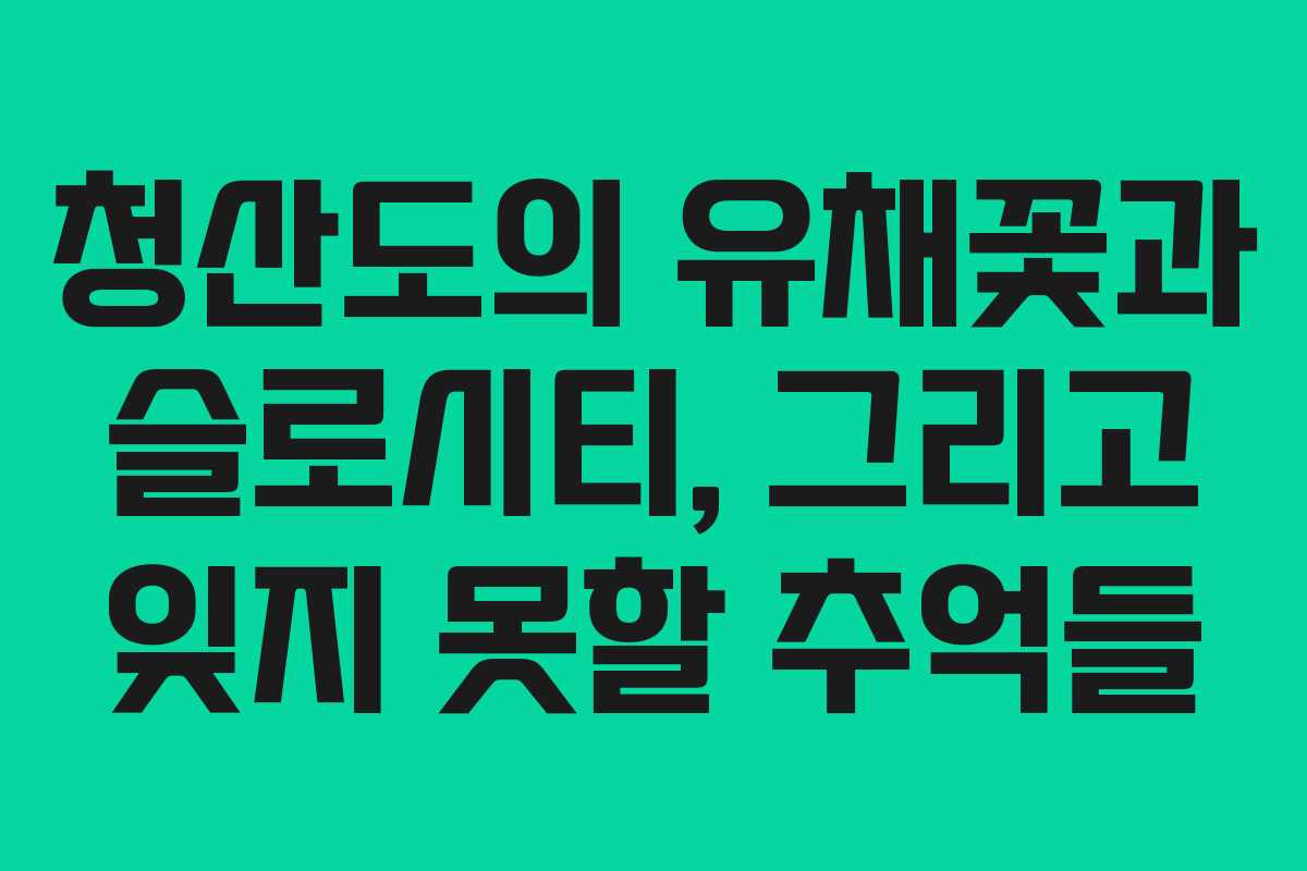 청산도의 유채꽃과 슬로시티, 그리고 잊지 못할 추억들