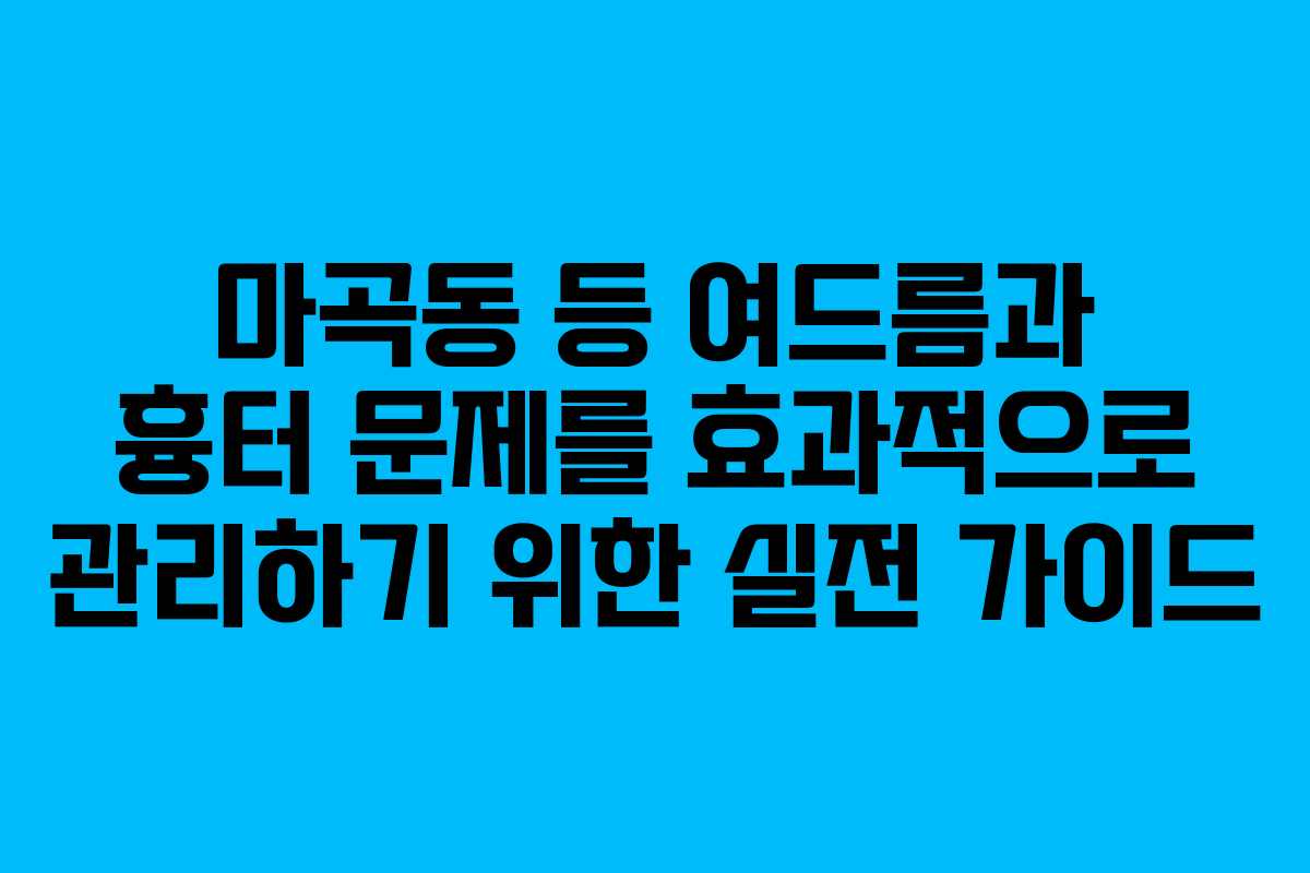 마곡동 등 여드름과 흉터 문제를 효과적으로 관리하기 위한 실전 가이드