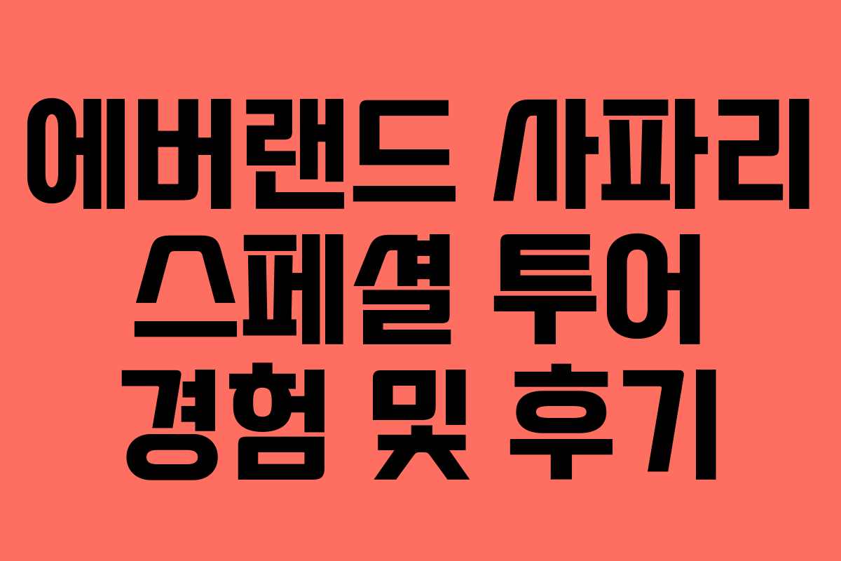 에버랜드 사파리 스페셜 투어 경험 및 후기