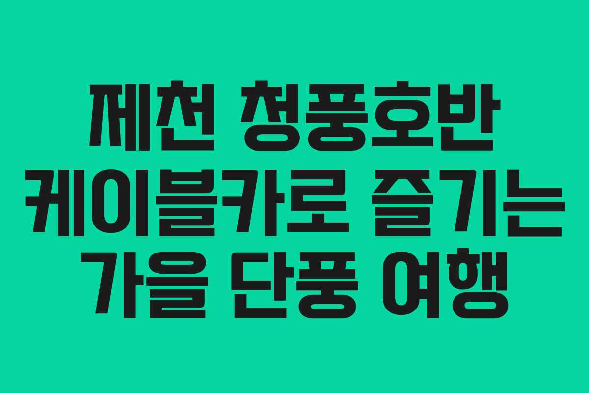 제천 청풍호반 케이블카로 즐기는 가을 단풍 여행