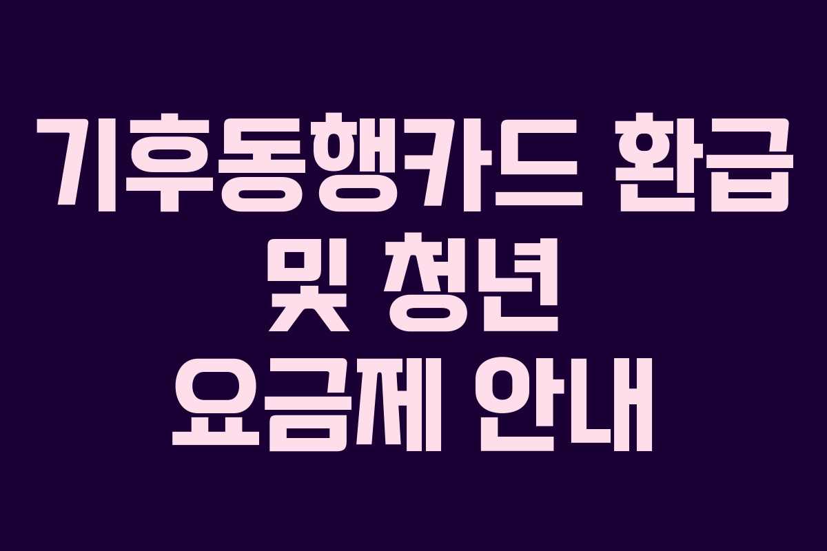 기후동행카드 환급 및 청년 요금제 안내