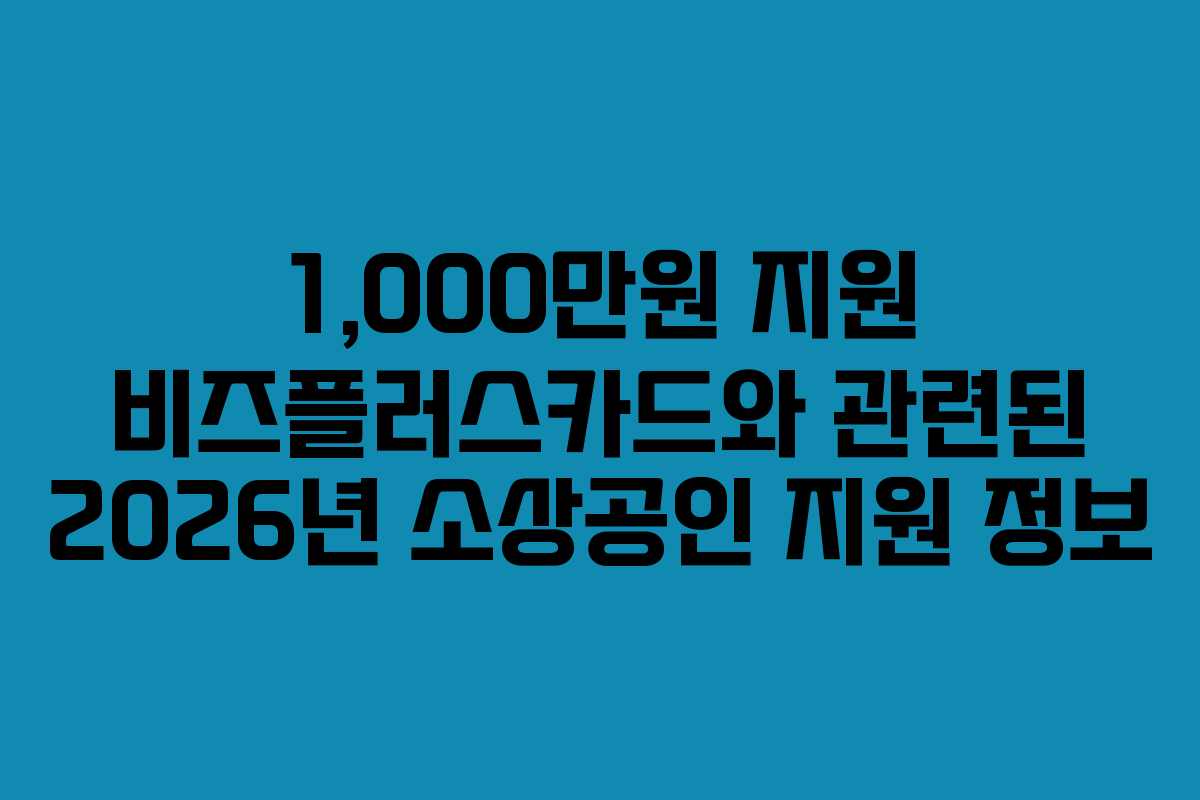 1,000만원 지원 비즈플러스카드와 관련된 2026년 소상공인 지원 정보