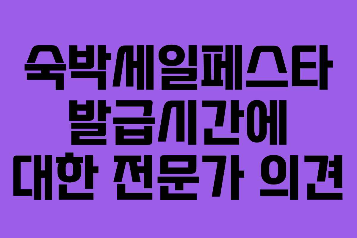 숙박세일페스타 발급시간에 대한 전문가 의견