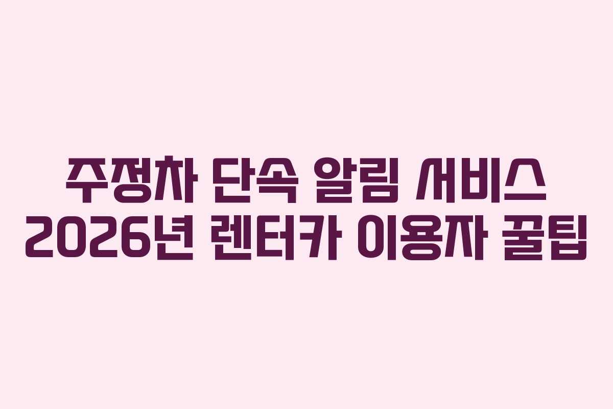 주정차 단속 알림 서비스 2026년 렌터카 이용자 꿀팁