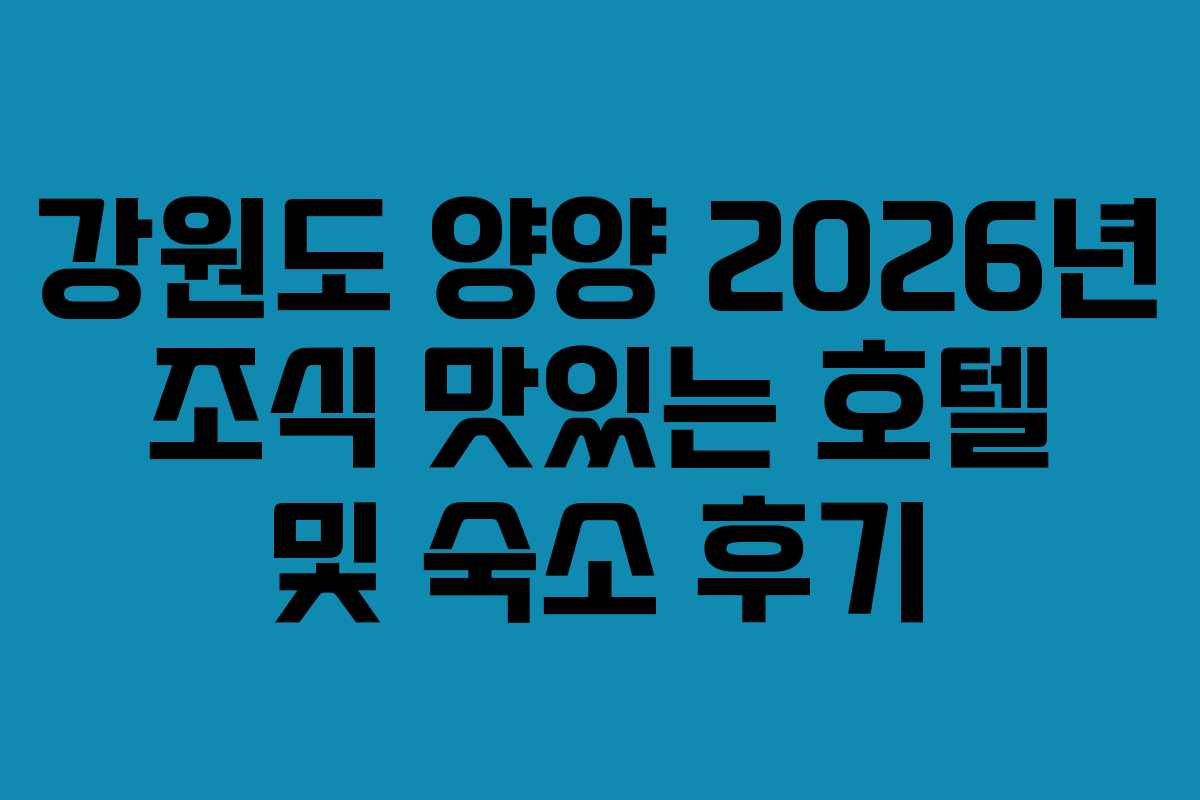 강원도 양양 2026년 조식 맛있는 호텔 및 숙소 후기