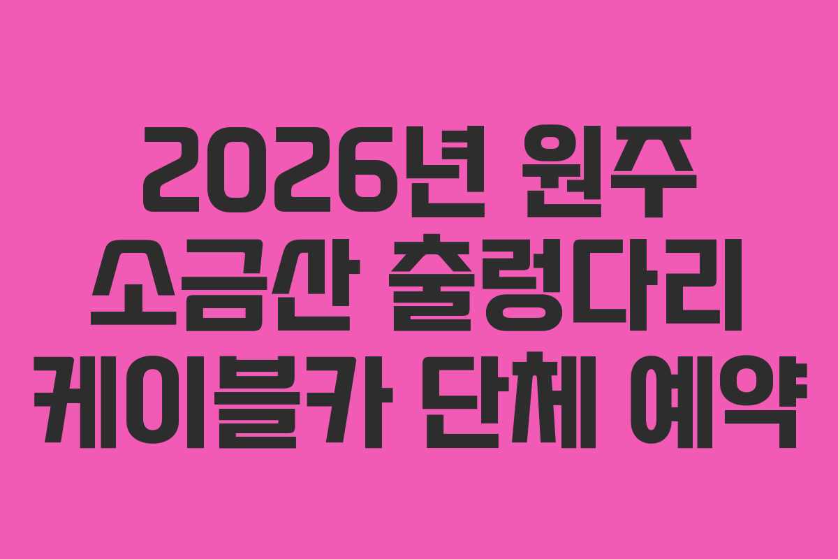 2026년 원주 소금산 출렁다리 케이블카 단체 예약