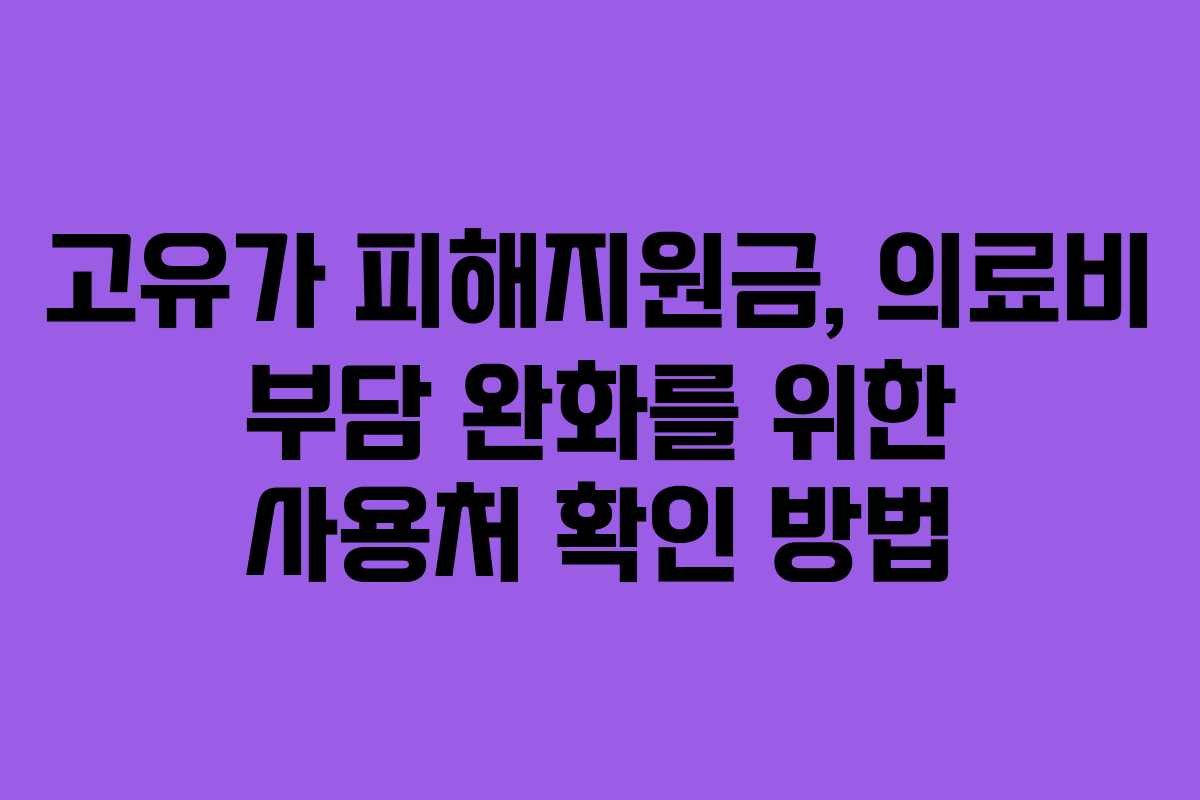고유가 피해지원금, 의료비 부담 완화를 위한 사용처 확인 방법