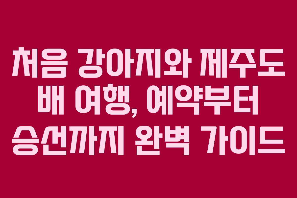 처음 강아지와 제주도 배 여행, 예약부터 승선까지 완벽 가이드