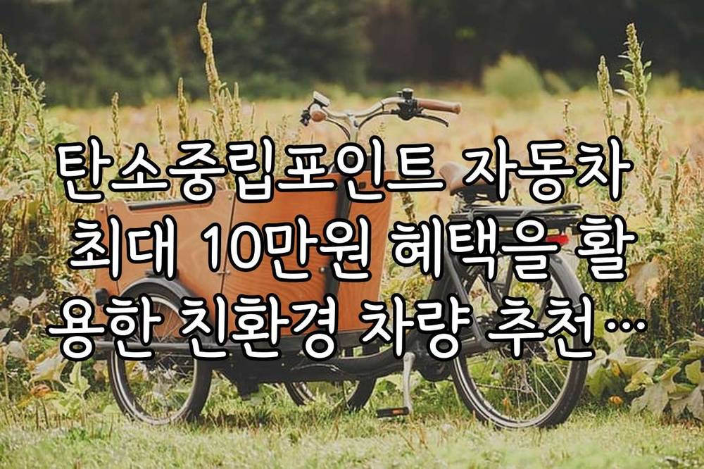 탄소중립포인트 자동차 최대 10만원 혜택을 활용한 친환경 차량 추천 모델