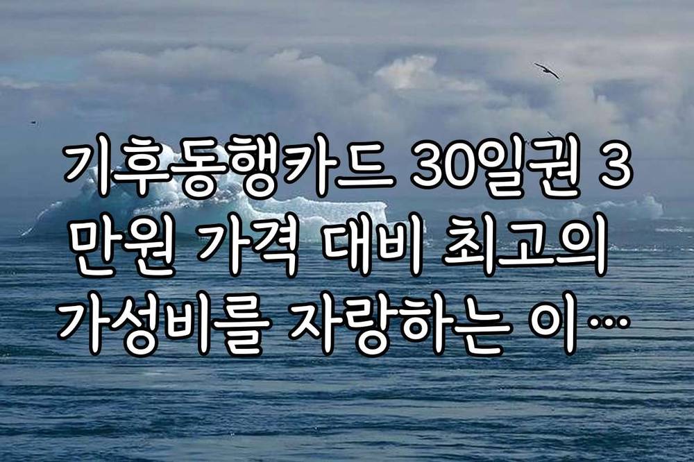 기후동행카드 30일권 3만원 가격 대비 최고의 가성비를 자랑하는 이유를 분석해보니