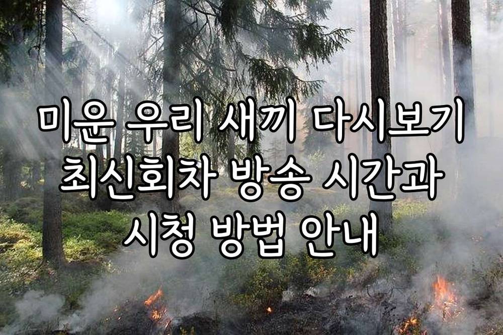 미운 우리 새끼 다시보기 최신회차 방송 시간과 시청 방법 안내