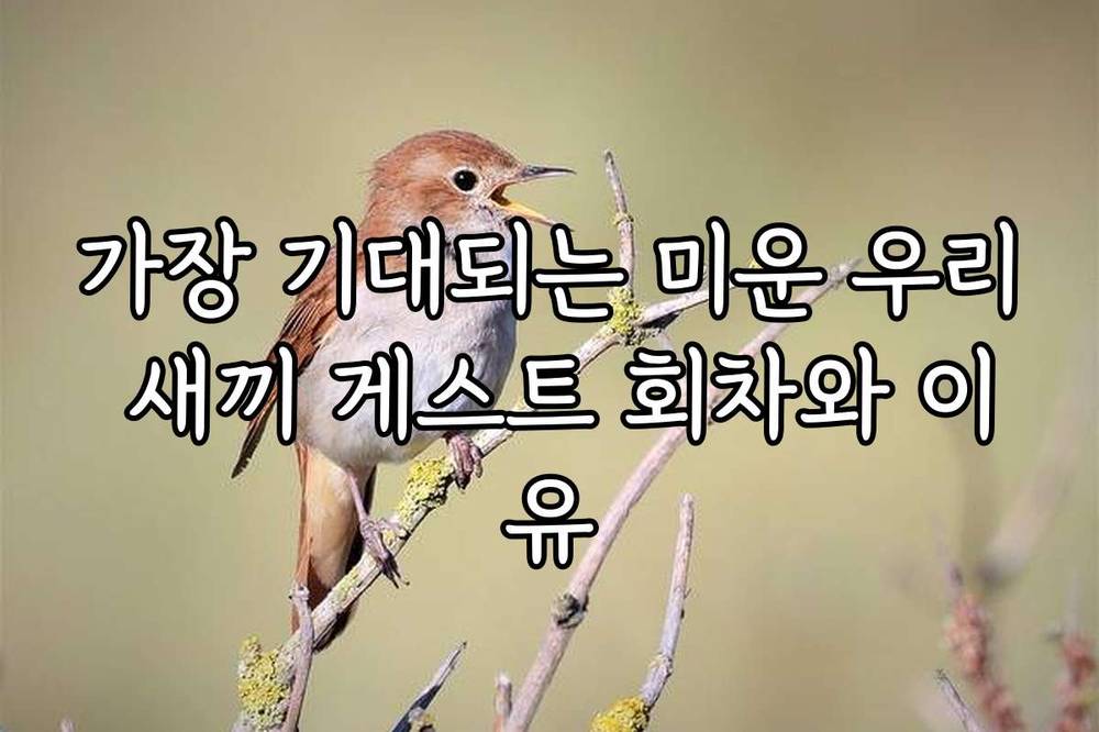 가장 기대되는 미운 우리 새끼 게스트 회차와 이유