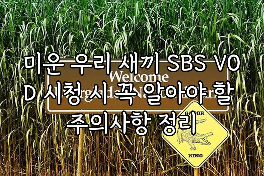 미운 우리 새끼 SBS VOD 시청 시 꼭 알아야 할 주의사항 정리