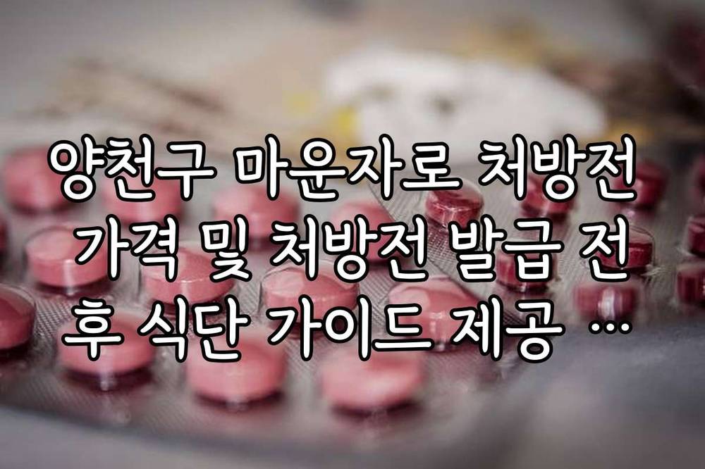 양천구 마운자로 처방전 가격 및 처방전 발급 전후 식단 가이드 제공 여부