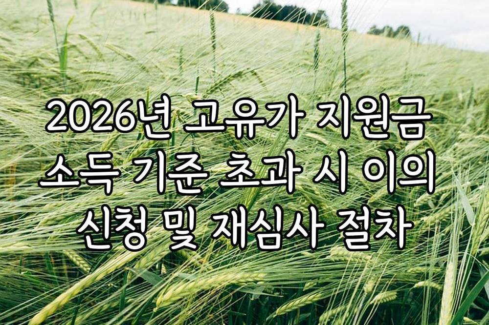 2026년 고유가 지원금 소득 기준 초과 시 이의 신청 및 재심사 절차