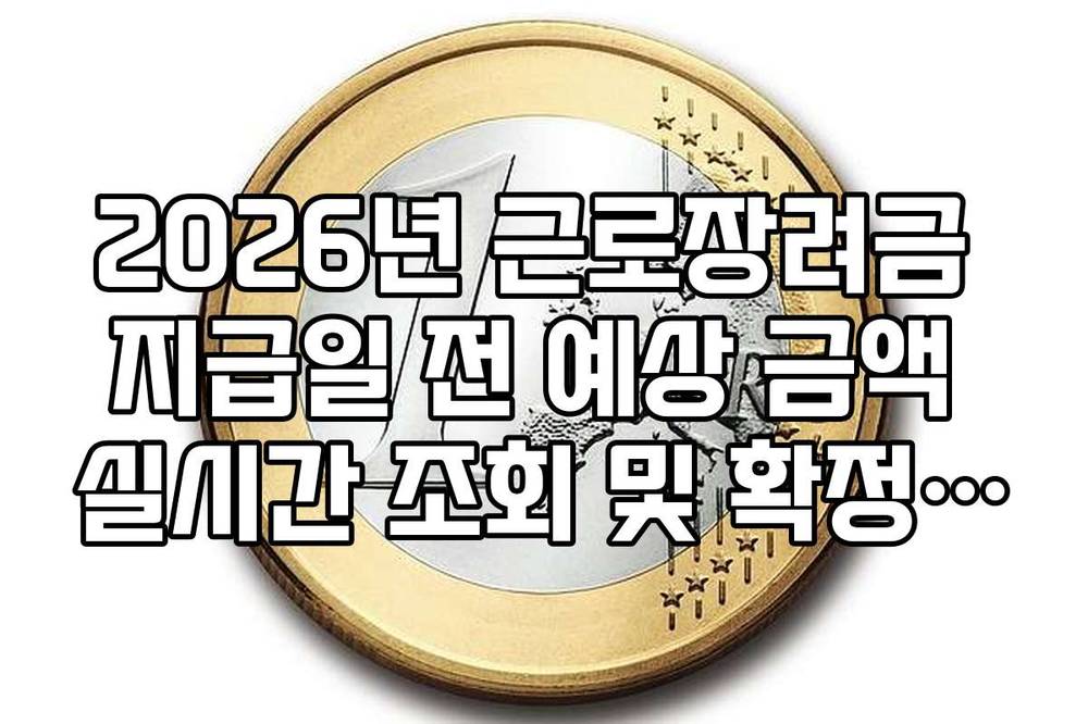 2026년 근로장려금 지급일 전 예상 금액 실시간 조회 및 확정 통보